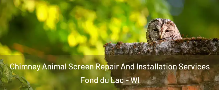 Chimney Animal Screen Repair And Installation Services Fond du Lac - WI