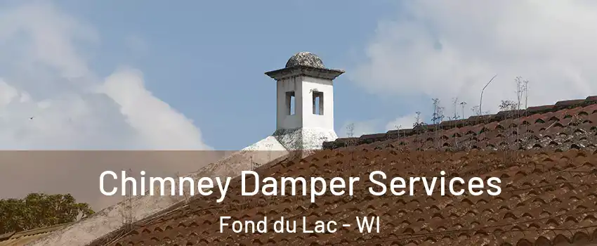 Chimney Damper Services Fond du Lac - WI