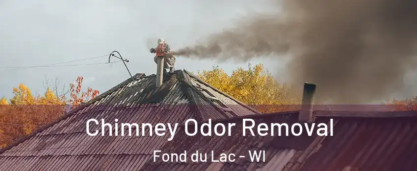  Chimney Odor Removal Fond du Lac - WI