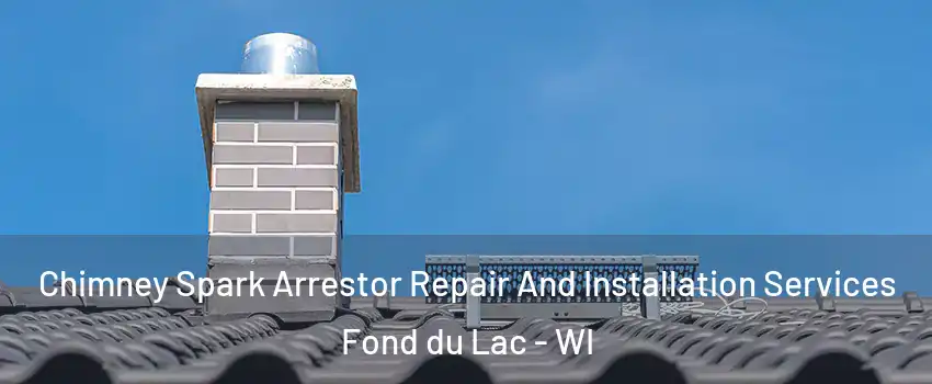  Chimney Spark Arrestor Repair And Installation Services Fond du Lac - WI