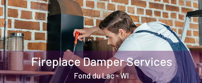  Fireplace Damper Services Fond du Lac - WI