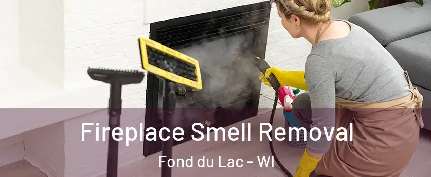  Fireplace Smell Removal Fond du Lac - WI