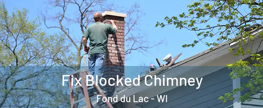  Fix Blocked Chimney Fond du Lac - WI