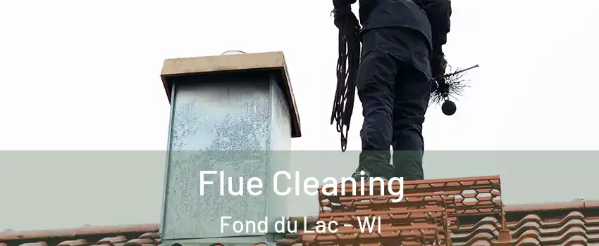  Flue Cleaning Fond du Lac - WI