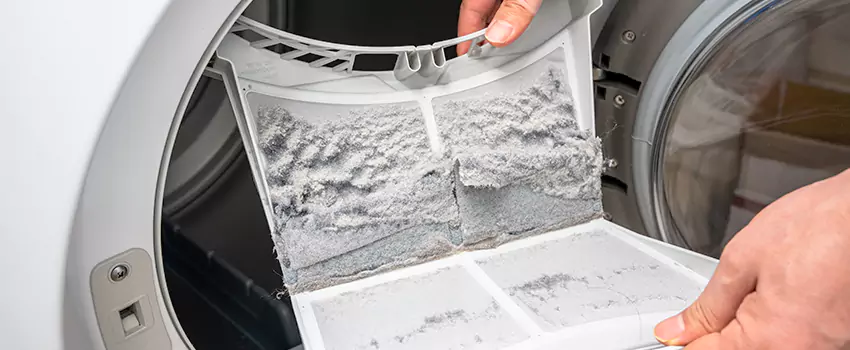 Best Dryer Lint Removal Company in Fond du Lac, Wisconsin