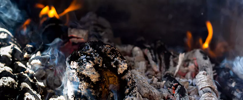 Creosote Removal Experts in Fond du Lac, WI
