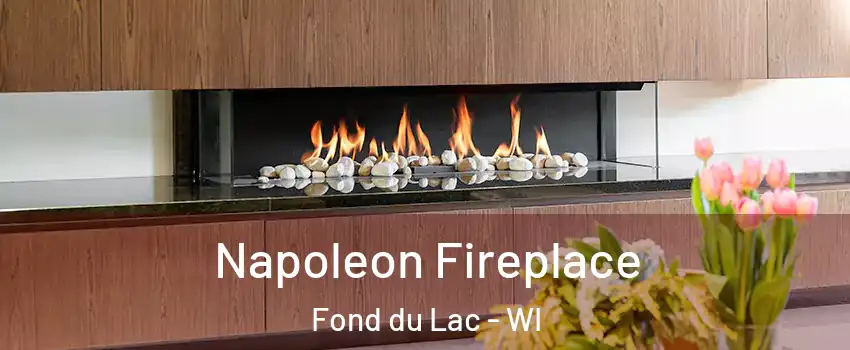  Napoleon Fireplace Fond du Lac - WI